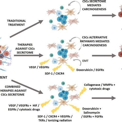 Pdf Cancer Stem Cell Secretome In The Tumor Microenvironment A Key