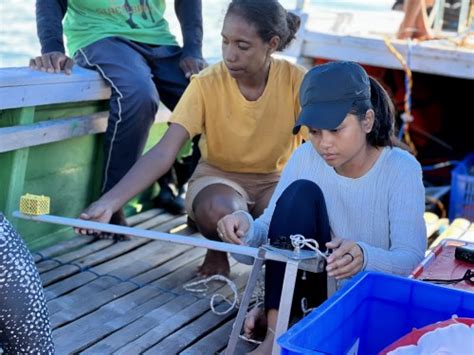 Coastal Conservation in Timor Leste Volunteer Service Abroad Te Tūao