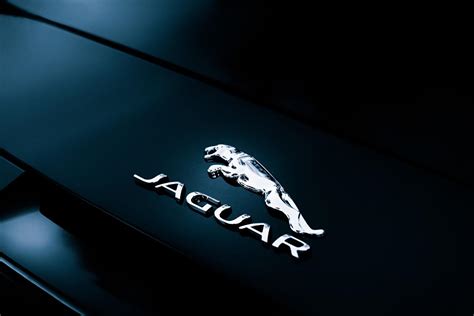 Jaguar Logo Desktop Wallpapers Wallpaper Cave