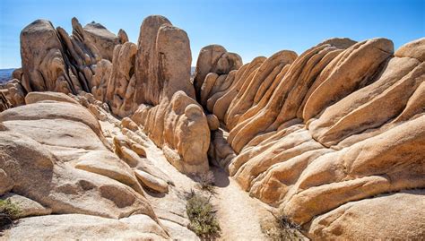 14 Epic Hikes In Joshua Tree National Park Maps And Photos Earth Trekkers