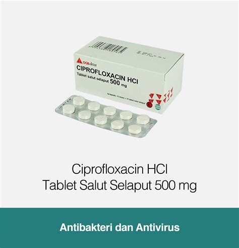 Ciprofloxacine Hci Tablet Salut Selaput Mg