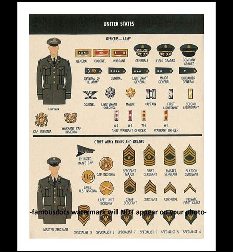 Vietnam War Army Ranks Grades Uniforms PHOTO Poster United States