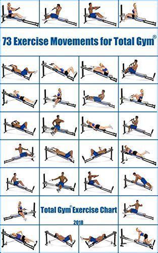 Total Gym Workout Chart Free - WorkoutWalls