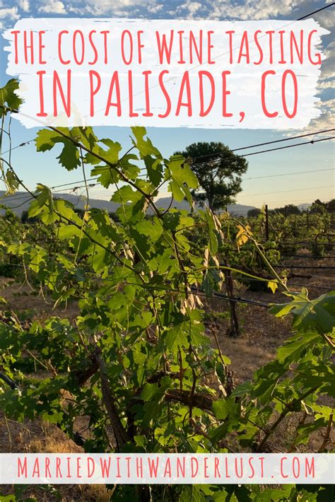 The cost of wine tasting in Palisade - Married with Wanderlust