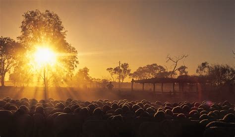 100 Best Towns In Australia 46 Longreach Qld Australian Traveller