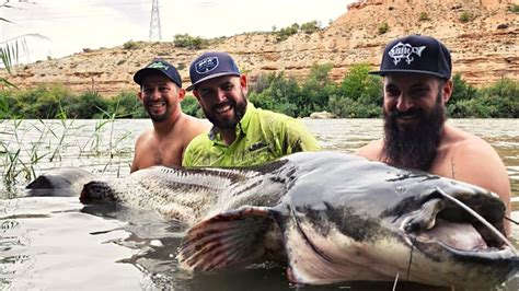 Pesca de Bagres Siluro Gigantes en el Río Ebro YouTube