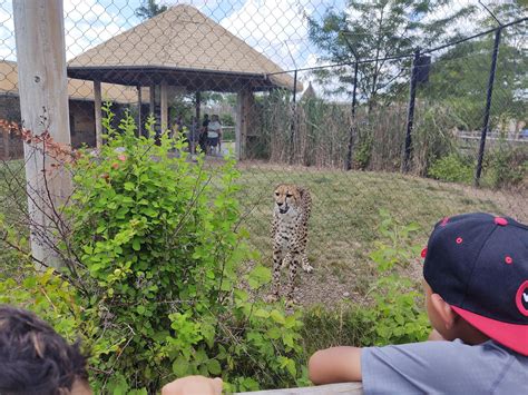 Some animals from Columbus zoo : r/zoos