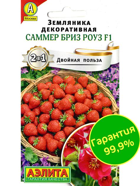 Земляника Саммер Бриз Роуз [Аэлита] купить в интернет-магазине ...