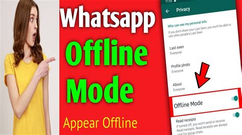 How To Show Ofline On WhatsAPP WhatsApp Ofline Mood Active Kaisy Kren