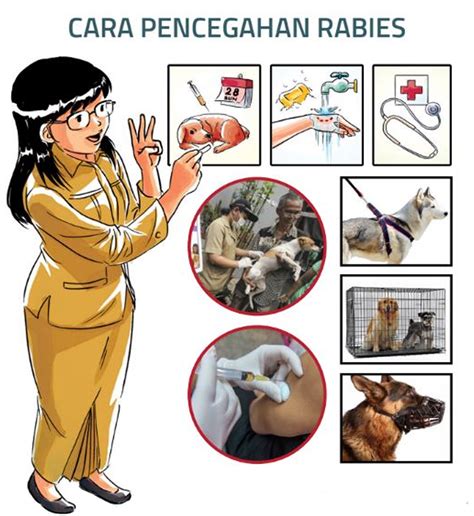 Mengenal Penyakit Rabies