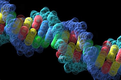 Quantum Biology Unlocking The Mysteries Of How Life Works