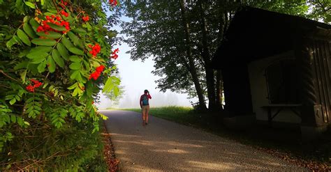 Mariazell country round walk BERGFEX Wędrówka Wycieczka Styria