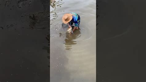 Detik Detik Panen Ikan Di Acara Gubyag Nyangku Situ Lengkong Panjalu