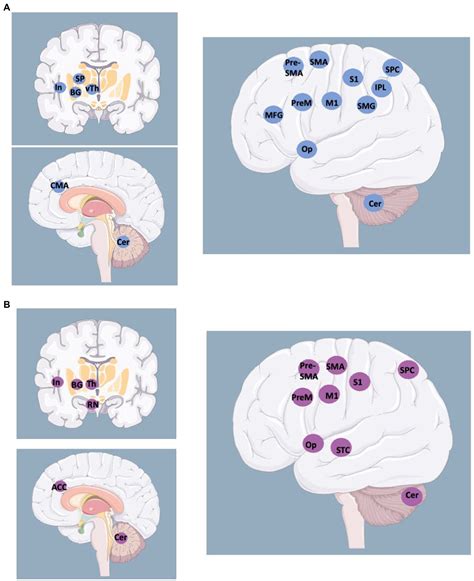 Frontiers Functional Neurologic Disorders Disorders To Be Managed By