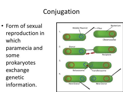 Biology 202