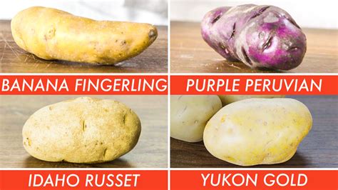 Watch Picking The Right Potato For Every Recipe The Big Guide The Big Guide Epicurious