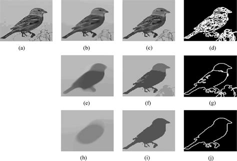 Scale-space and segmentation stack. (a) Original bird image. (b), (e ...