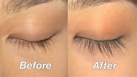 How To Grow Longer Lashes Atelier Yuwa Ciao Jp