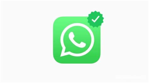 Es Oficial Las Cuentas Empresariales Llegan A Whatsapp