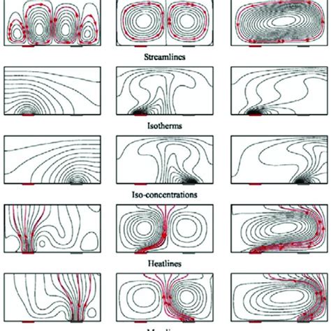 Contour Lines Of Stream Function Temperature Concentration Heat Download Scientific Diagram