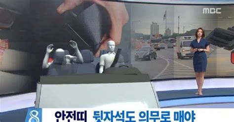 전좌석 안전벨트 의무화 내년부터 일반 도로서도 뒷자석까지 의무 착용