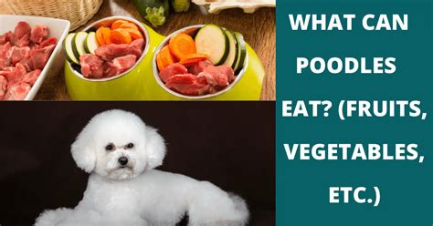 Fruits Vegetables Other Snacks Poodles Can And Can T Eat Vet