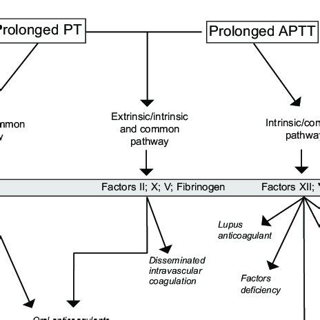 Evolution Of Prothrombin Time PT And Activated Partial