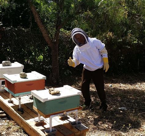 Baixista do Red Hot Chilli Peppers é apicultor