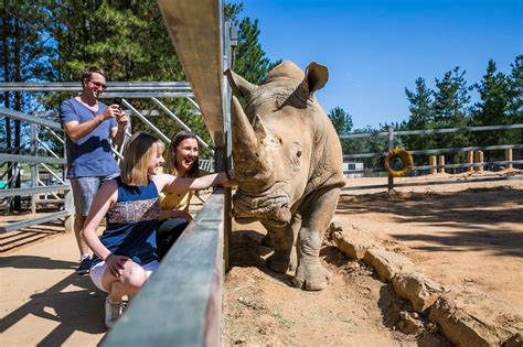 Rhino Encounter - National Zoo & Aquarium Reservations