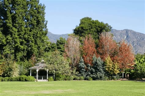 10 Arcadia California Autumn Images, Stock Photos, 3D objects, & Vectors | Shutterstock