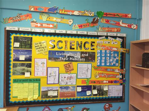 Science Display Board Science Display Teaching Displays Science Images