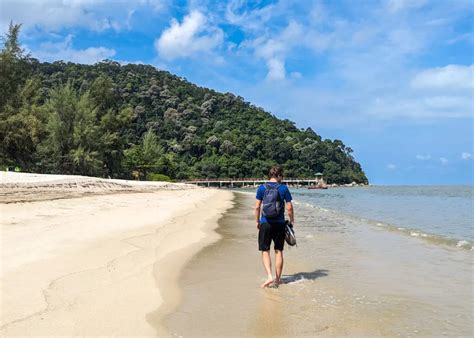 Penang National Park: 2025 visitor guide