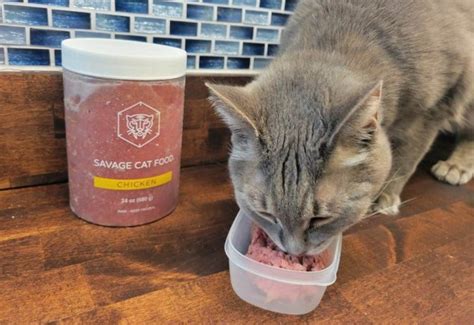 Unbiased Savage Cat Food Review