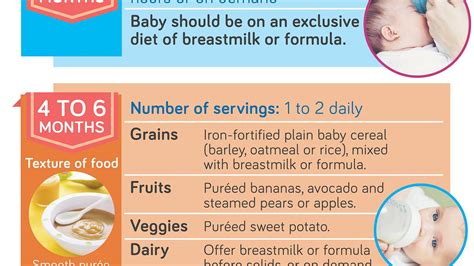 Your By Month Guide To Feeding Baby Infographic