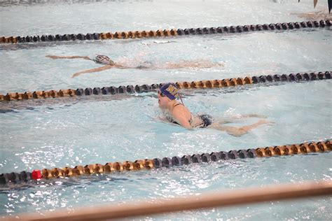 Nfa Vs New Paltz Newburgh Sharks Swim Club