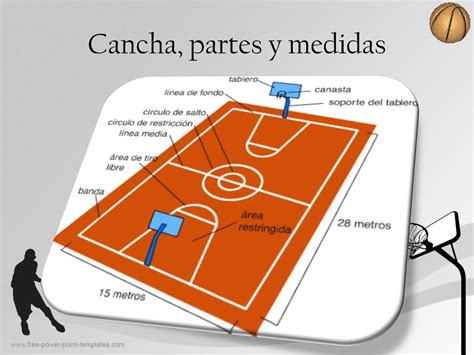 Descubrir Imagen Partes Que Conforman Una Cancha De Basquetbol