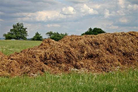 O que são fertilizantes Um guia completo e simplificado