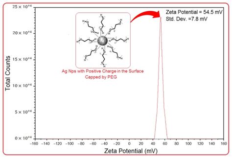 Zeta Potential Measurements For Ag PEG NPs After 6 H Of Stirring