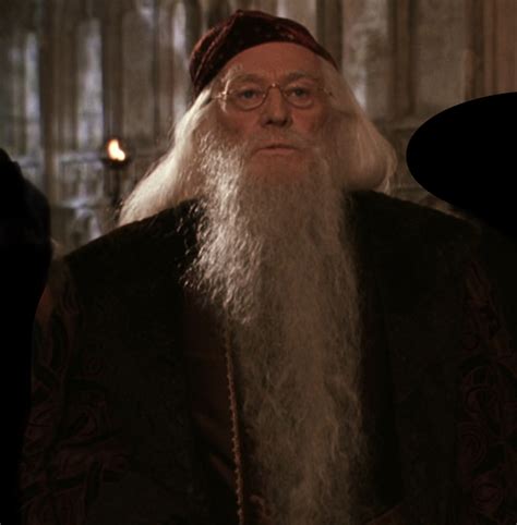 Professor Albus Percival Wulfric Brian Dumbledore The Shared Combined