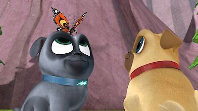 Watch Puppy Dog Pals Season 1 Episode 16 - Bye Bye, Butterfly / A Seat at the Theatre Online Now