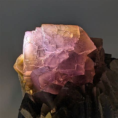 FLUORITE Grigio ROSA Con FANTASMI 4 5cm Cubo Cristalli Su Matrice