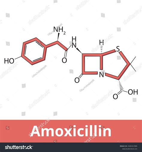 Chemical Structure Amoxicillin Amoxicillin Antibiotic Used Stock Vector