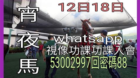 12月17新節目「宵夜馬」今次介紹一匹「隔夜」已經非常受歡迎嘅馬whatsapp視像功課5300 2997回88 30蚊一個賽馬日有隔晚