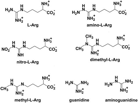 Electrochemical Structures For Various L Arginine Analogues And Organic