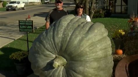 Skinners Produce World Record Squash