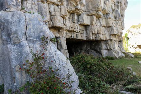 Winspit Cave And Berries Uk