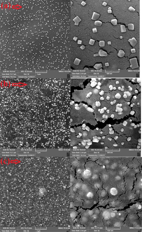 FE SEM Images Of A Pure B Ag Doped C Sn Doped PbS PVA And Their