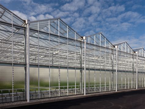 Venlo Glass Greenhouses Growspan