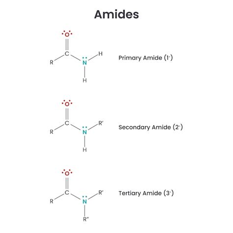 Primary Amide