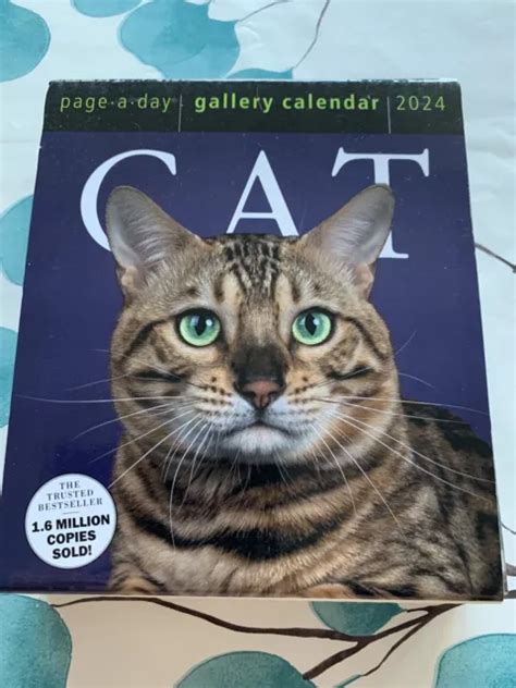 Cat Page A Day Gallery Calendar By Workman Calendars Brand New